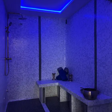 公寓 Aphrodite Hammam ,balneo ,nimes Centre *